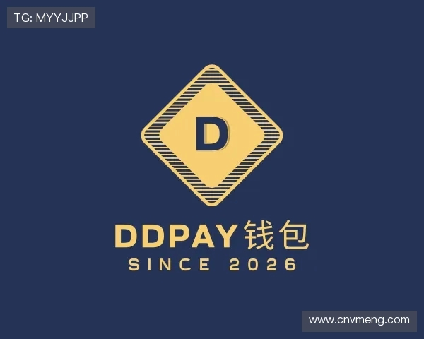 介绍DDpay钱包
